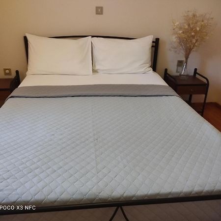 Manousos Apartment Лефкада Экстерьер фото